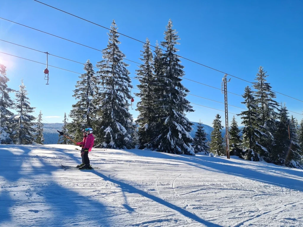 Vlasic ski lift