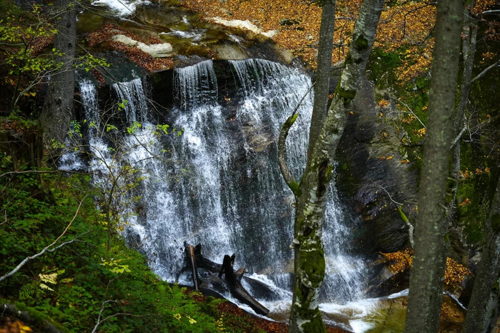 Fojnica slapovi kozice