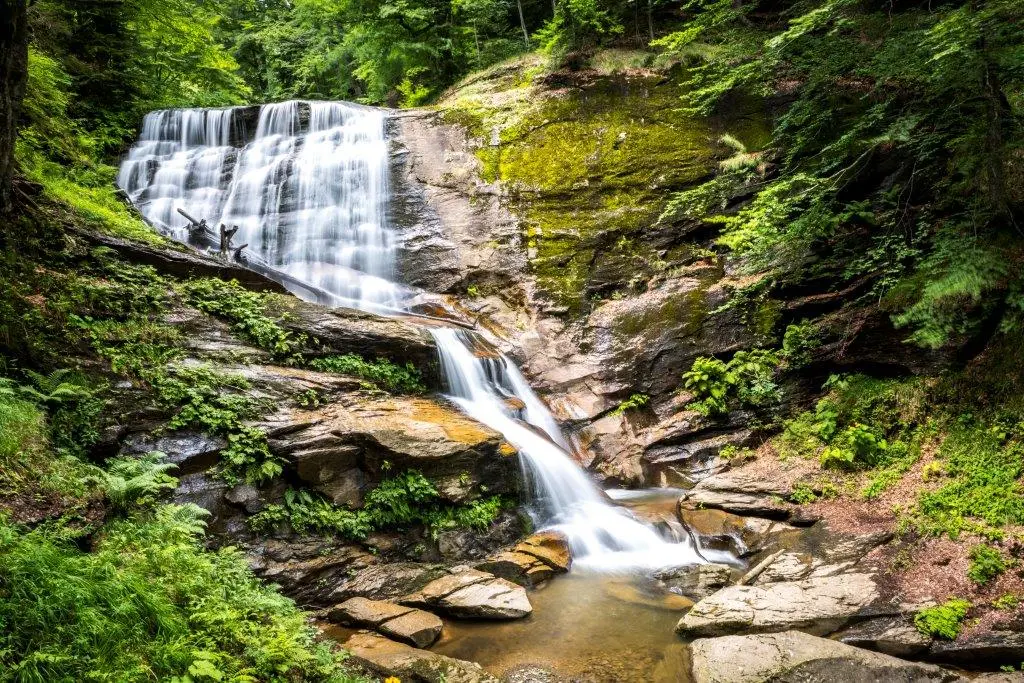 Slapovi Kozice u Bosni i Hercegovini