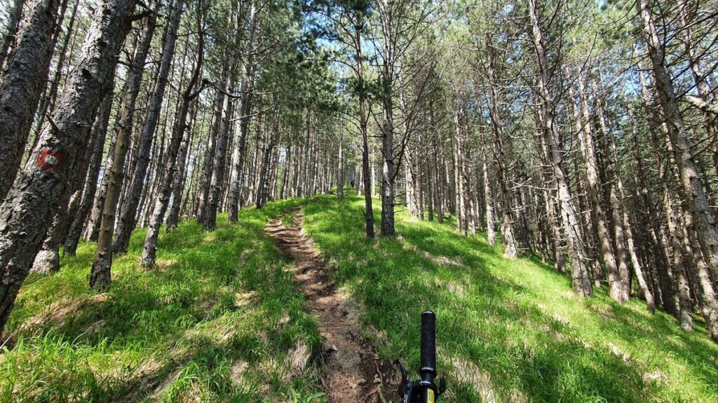 Biciklizam na planini Tajan