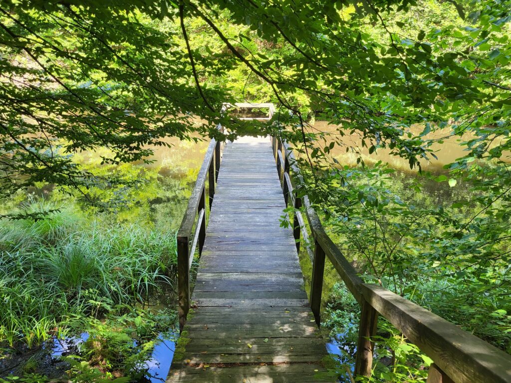 Priroda planine Tajan, Bosna i Hercegovina